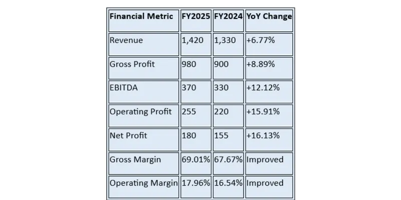 Financial Summary Table